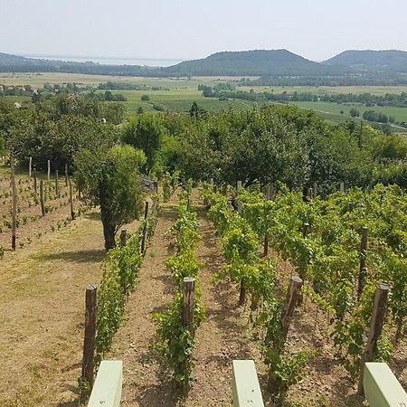 Grand Cru 4 Vendeghaz Villa Hegymagas Exterior foto
